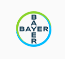 Bayer
