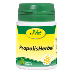 PropolisHerbal 