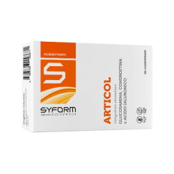 Syform Articol 