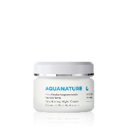 ANNEMARIE BÖRLIND AQUANATURE Feuchtigkeitsspendende Nachtcreme