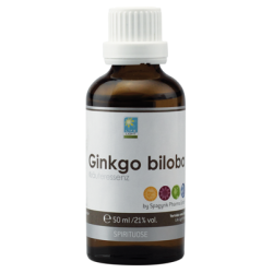 Life Light Ginkgo biloba Kräuteressenz