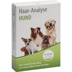Haar-Analyse Hund