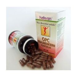 Hafesan OPC Traubenkern 300mg Kapseln
