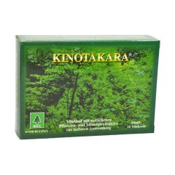 Kinotakara Vitalpflaster