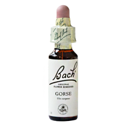 Mag. Doskar Bachblüten Nr. 13 Gorse Tropfen