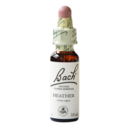 Mag. Doskar Bachblüte Nr.14 Heather - zurzeit nicht lieferbar