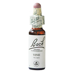 Mag. Doskar Bachblüte Nr.32 Vine 