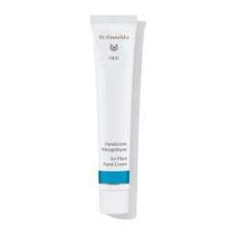 Dr. Hauschka Med Mittagsblume Handcreme