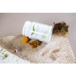 VIGEOVIT Basis Bioaktiv Kapseln