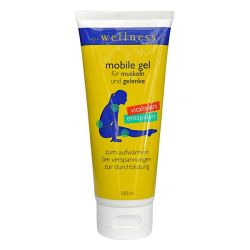 Wellness Mobil Gel